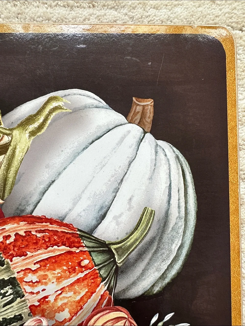Set of 4 Williams Sonoma Harvest Pumpkin Cork-Backed Placemats